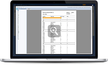 Productivity Reports
